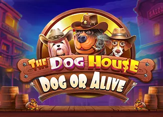 The Dog House - Dog or Alive - BOYBET168