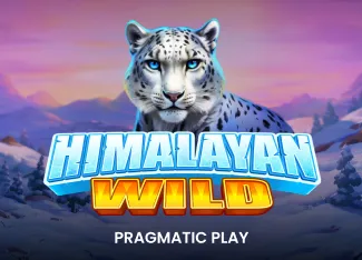 Himalayan Wild - BOYBET168